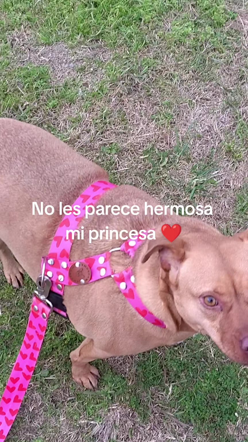 @Juan