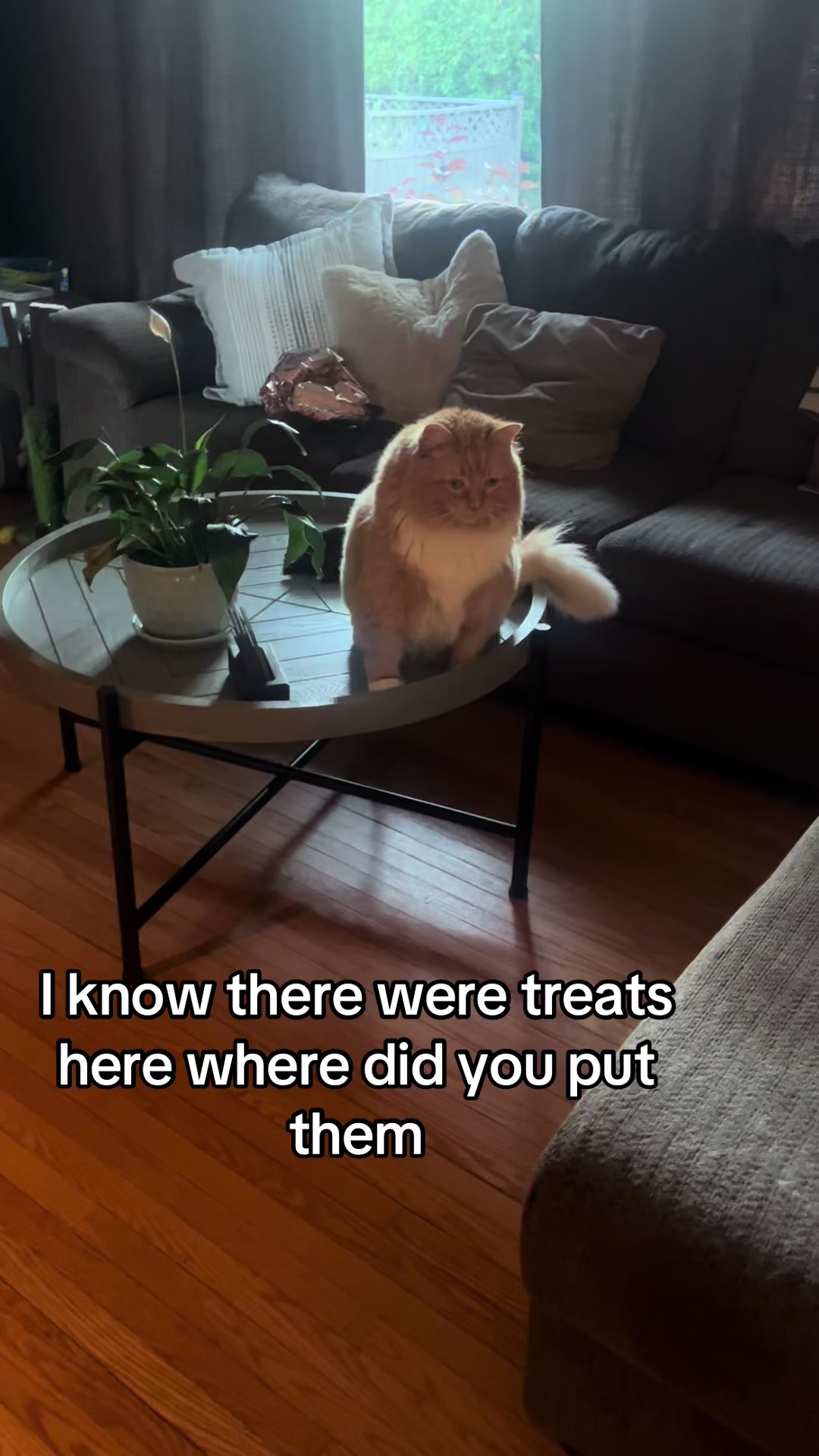 @Zoey
