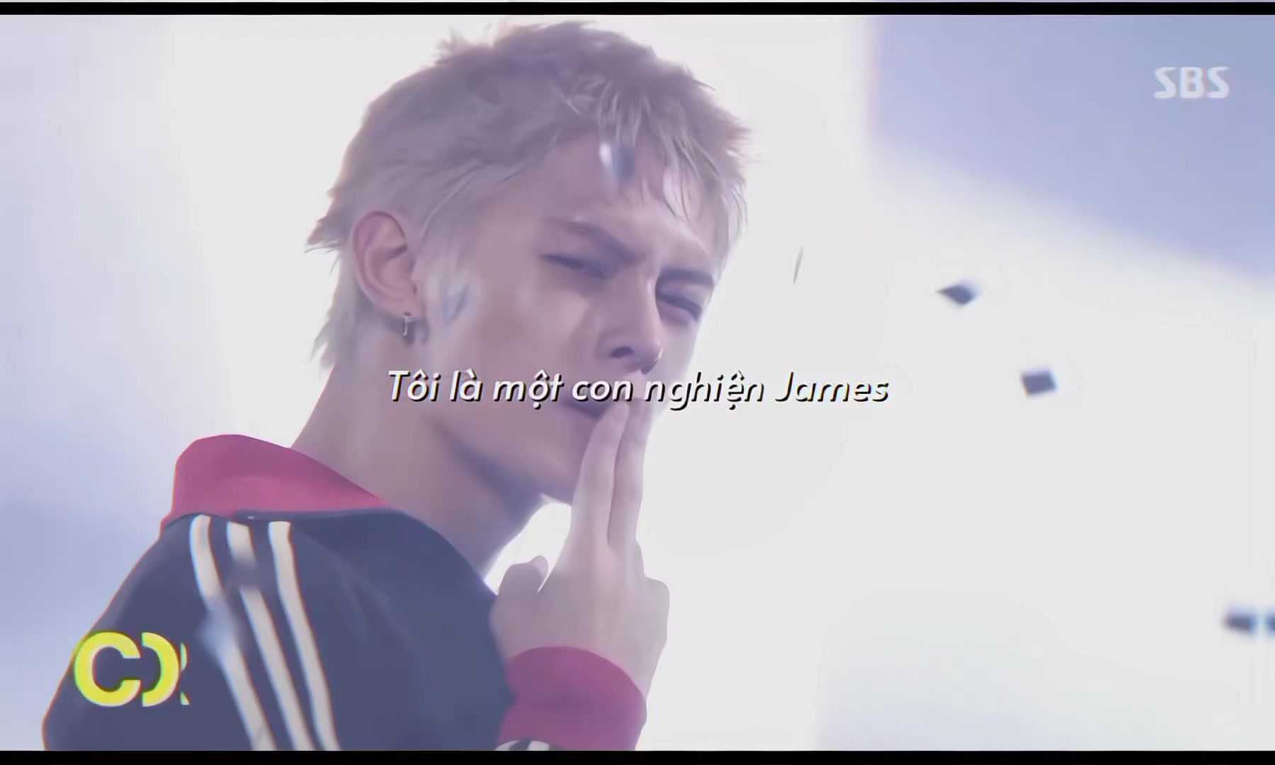 @Cỏ T&iacute;🦅🐕&zwj;🦺🐢🦊🐶