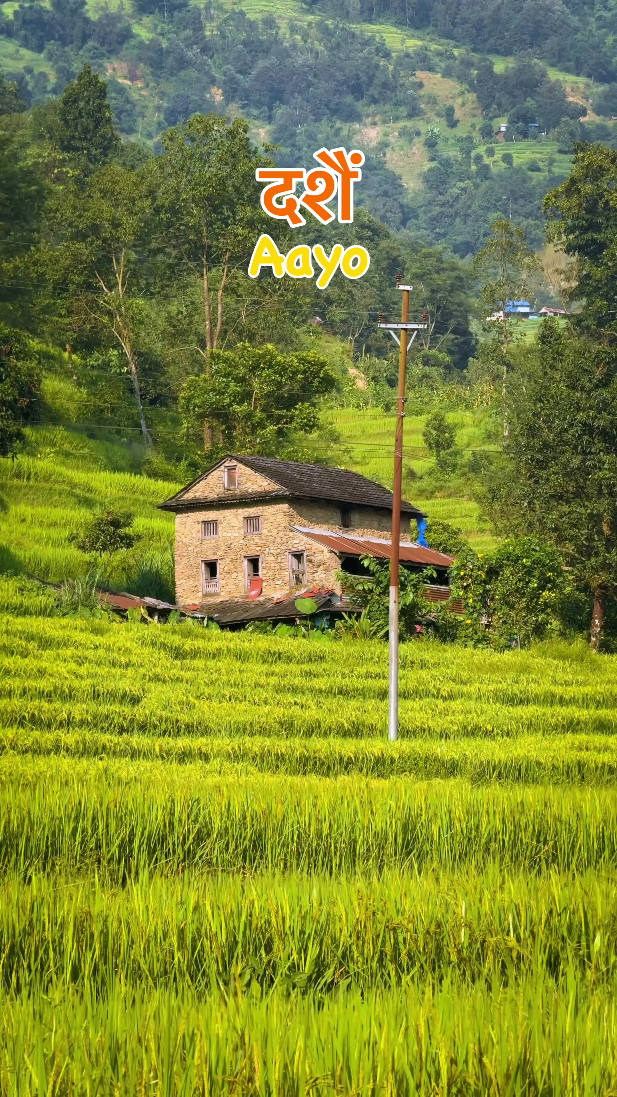 @Sudarshan Neupane