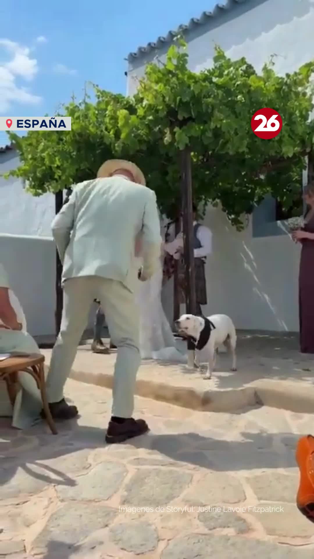 @Canal 26