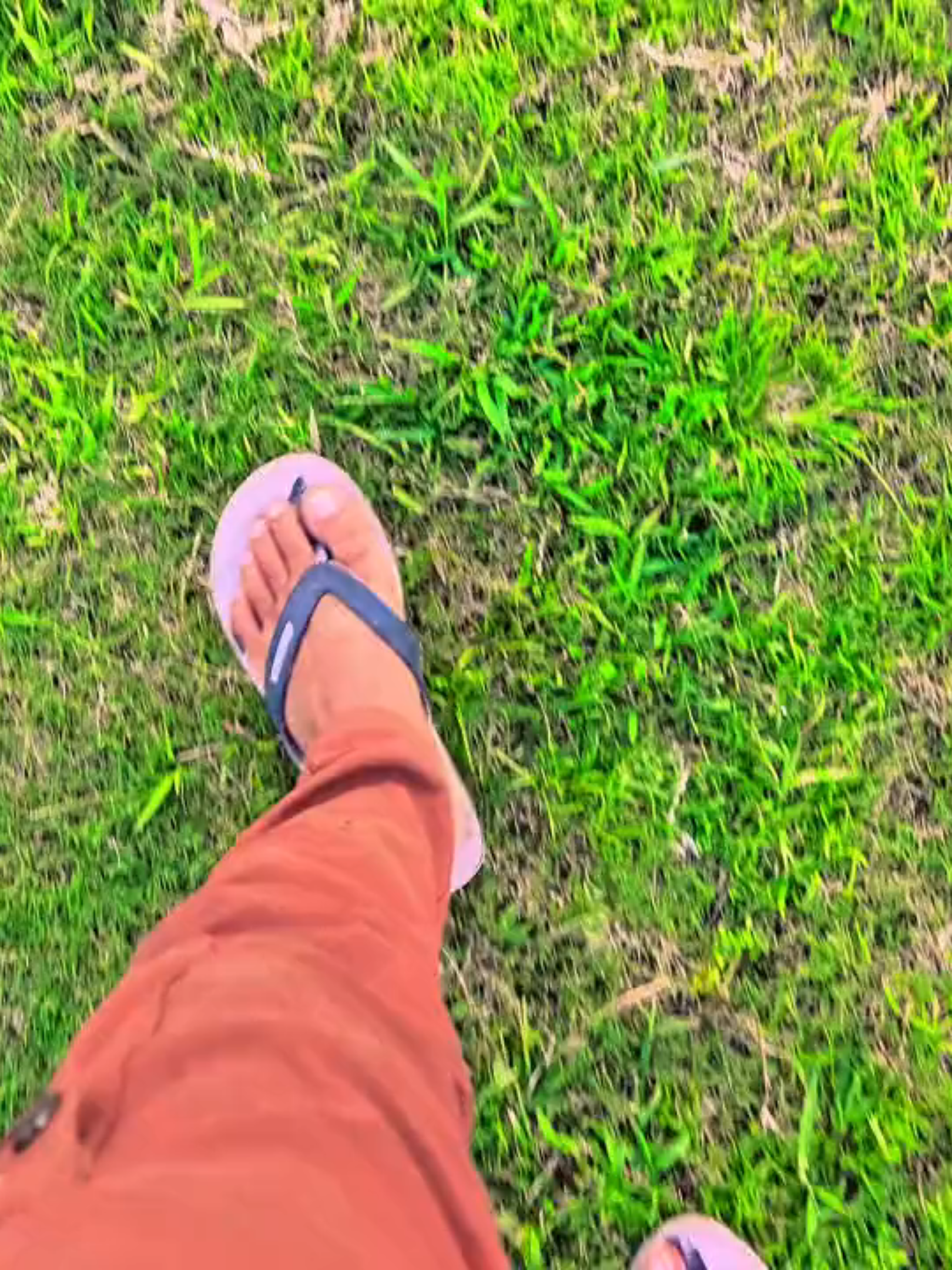 @sujon bhai