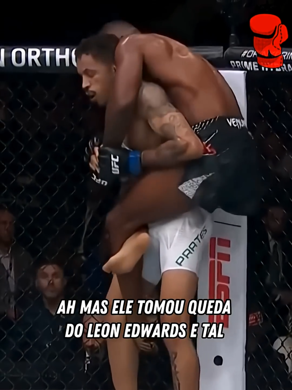 @MMA CUTS