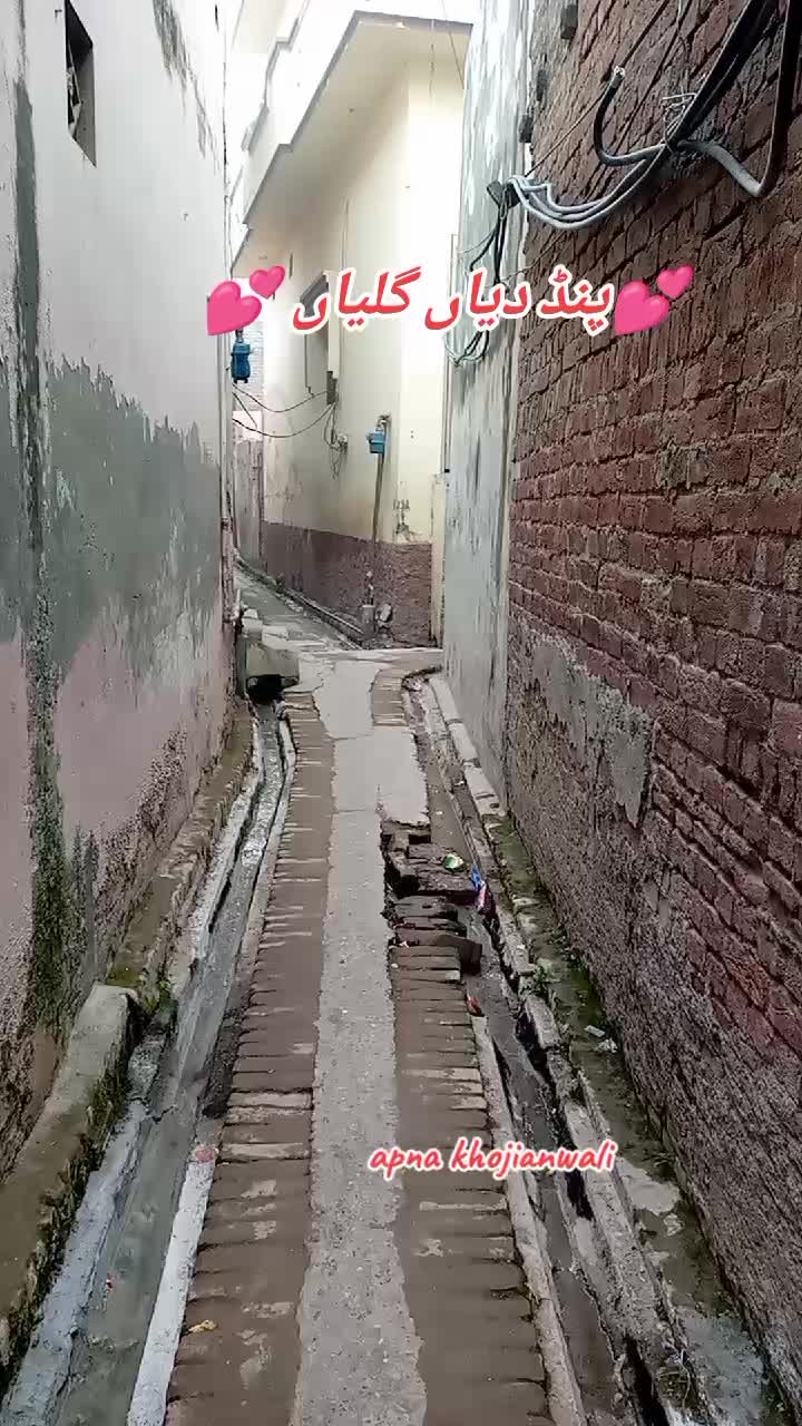 @Liaqat Ali Khojianwala🕊️🕊️