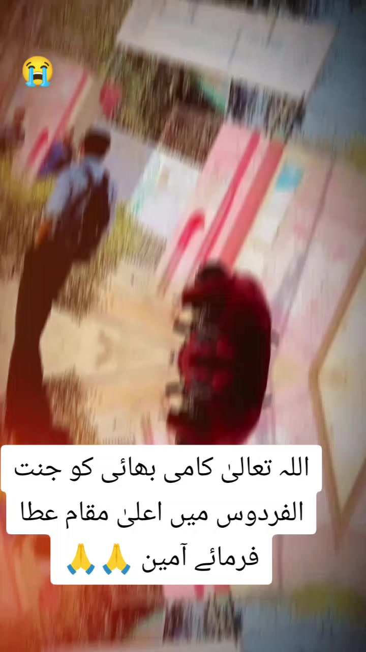@🚩 MSF degree college vehari🚩