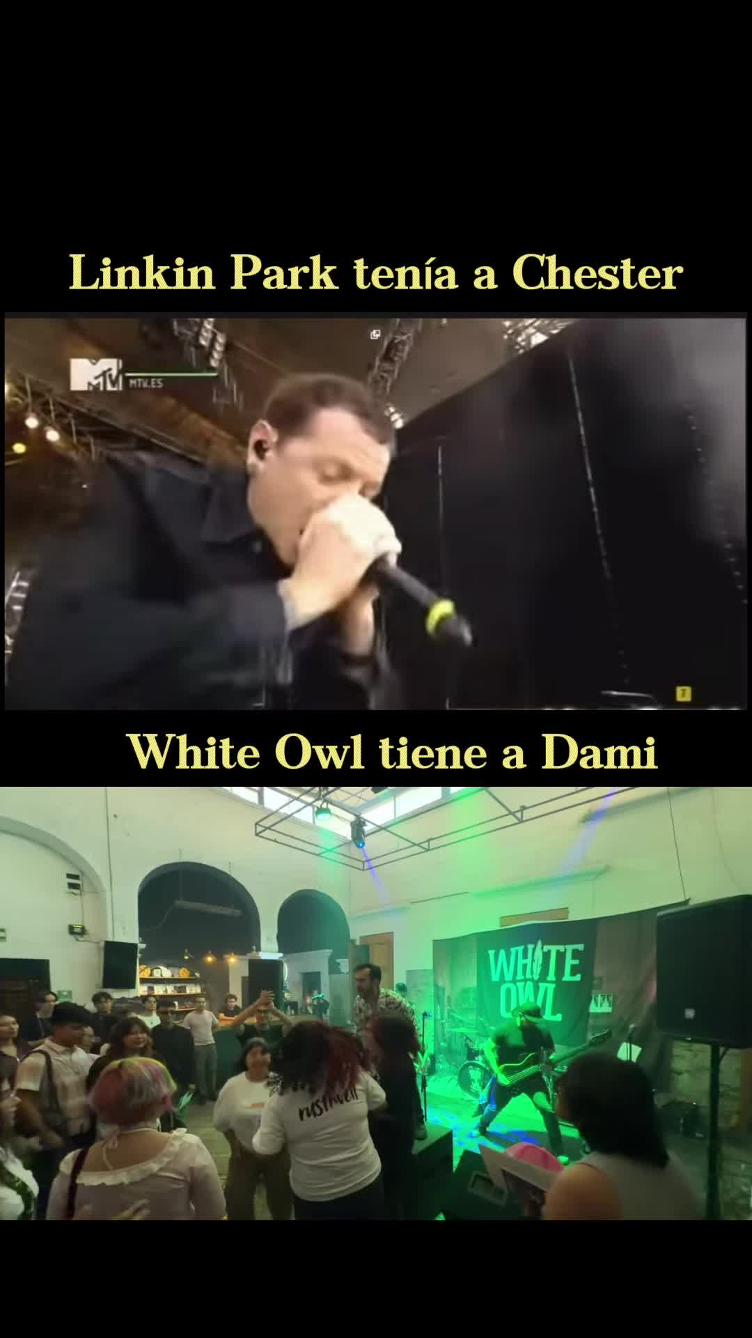 @White Owl mx