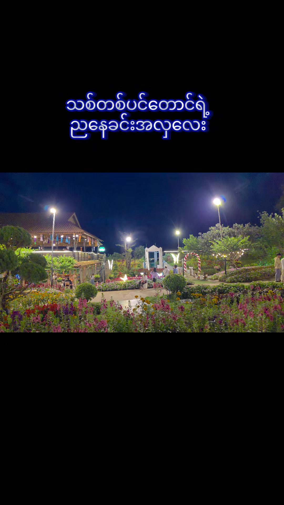 @သစ်တစ်ပင်တောင် (Official)
