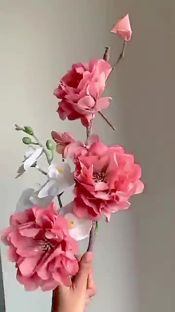 @หโน ๐ด๐๐๐๐๐ซ๐๐๐๐โฝหโน