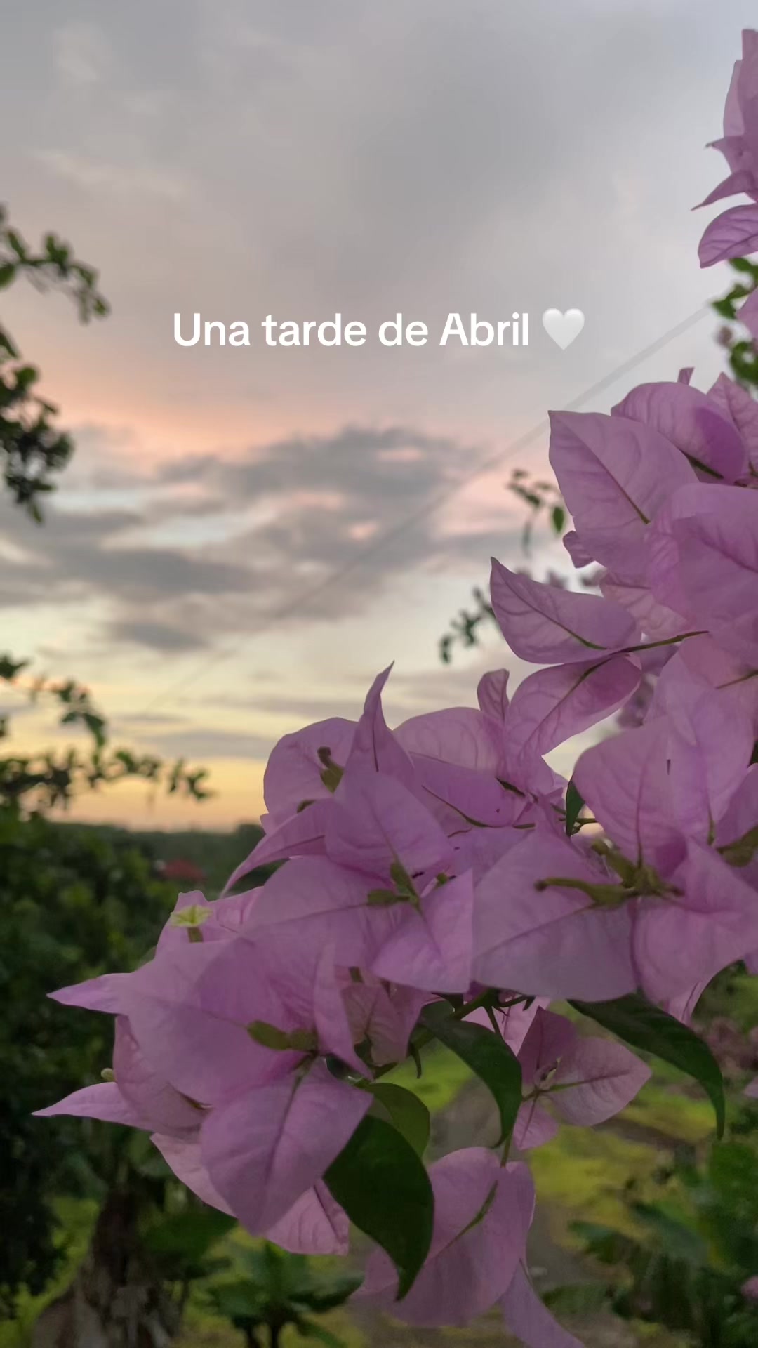 @Marita🐦🔥