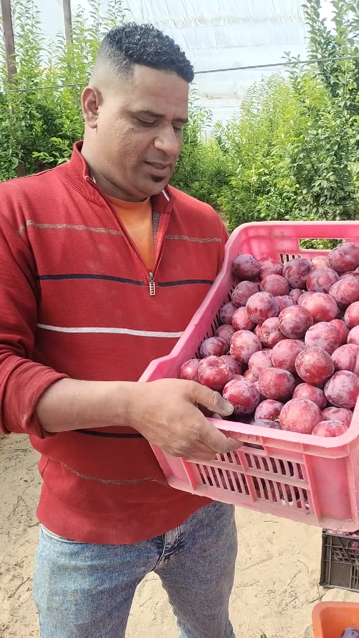 @احمد عمر