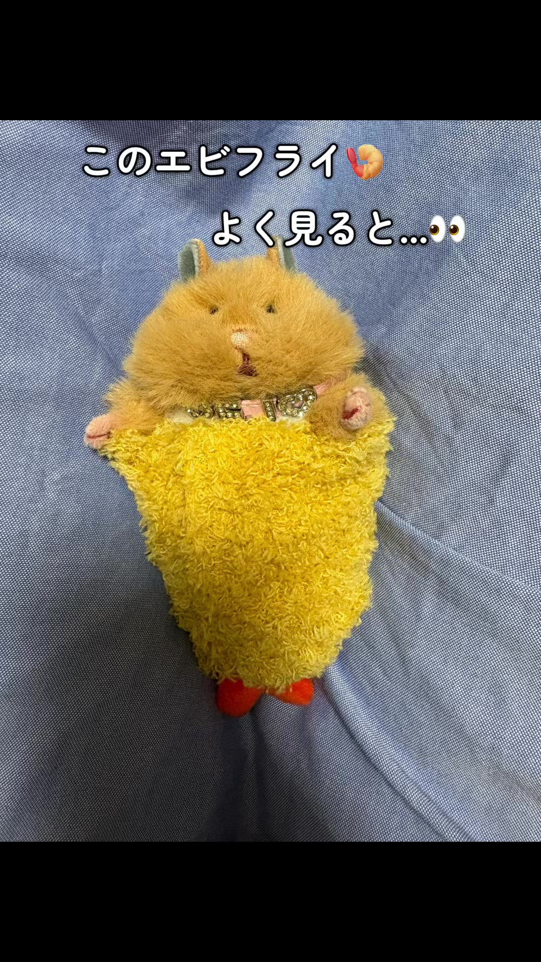 @はむにぎるね🌙