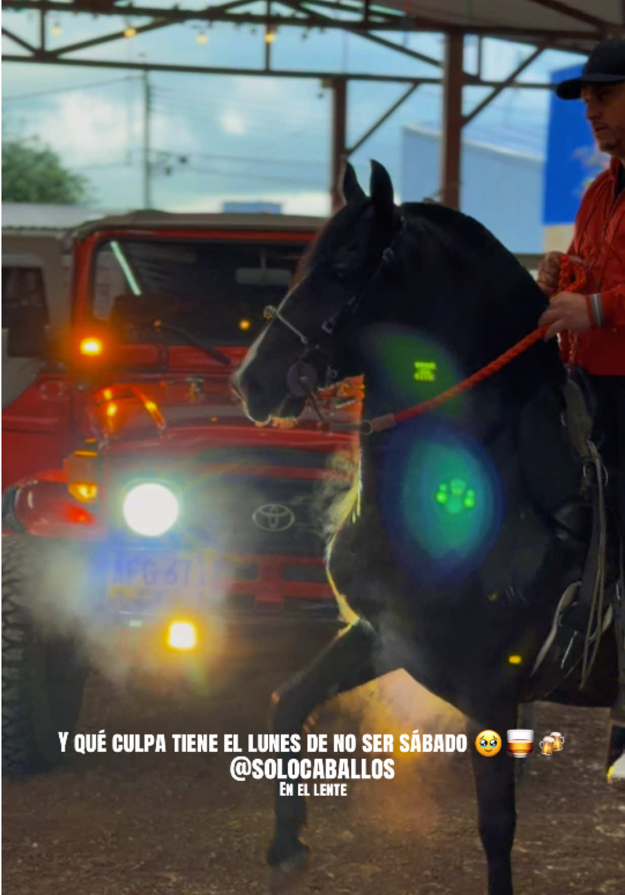 @Solo Caballos