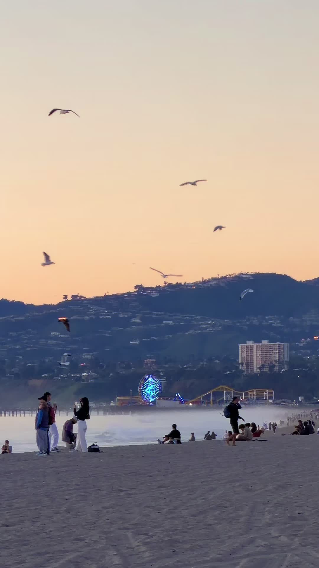 @Venice Beach Boardwalk