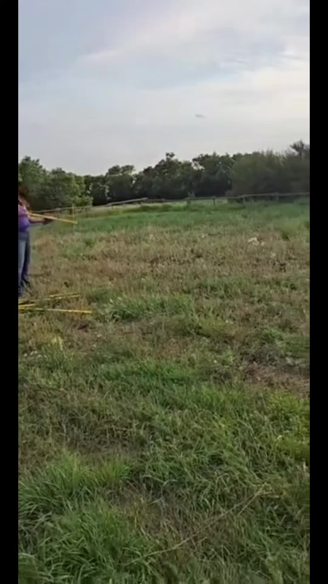 @Barrel Racing Journey
