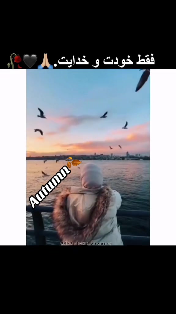 @autumn_1207