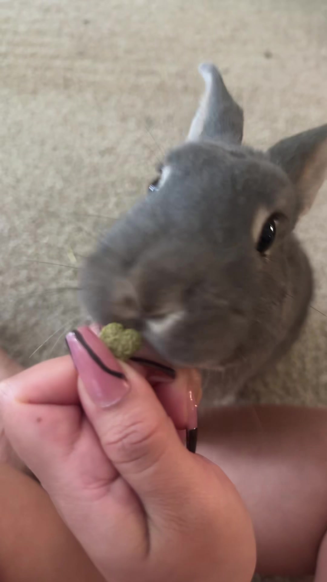 @Lil_loops