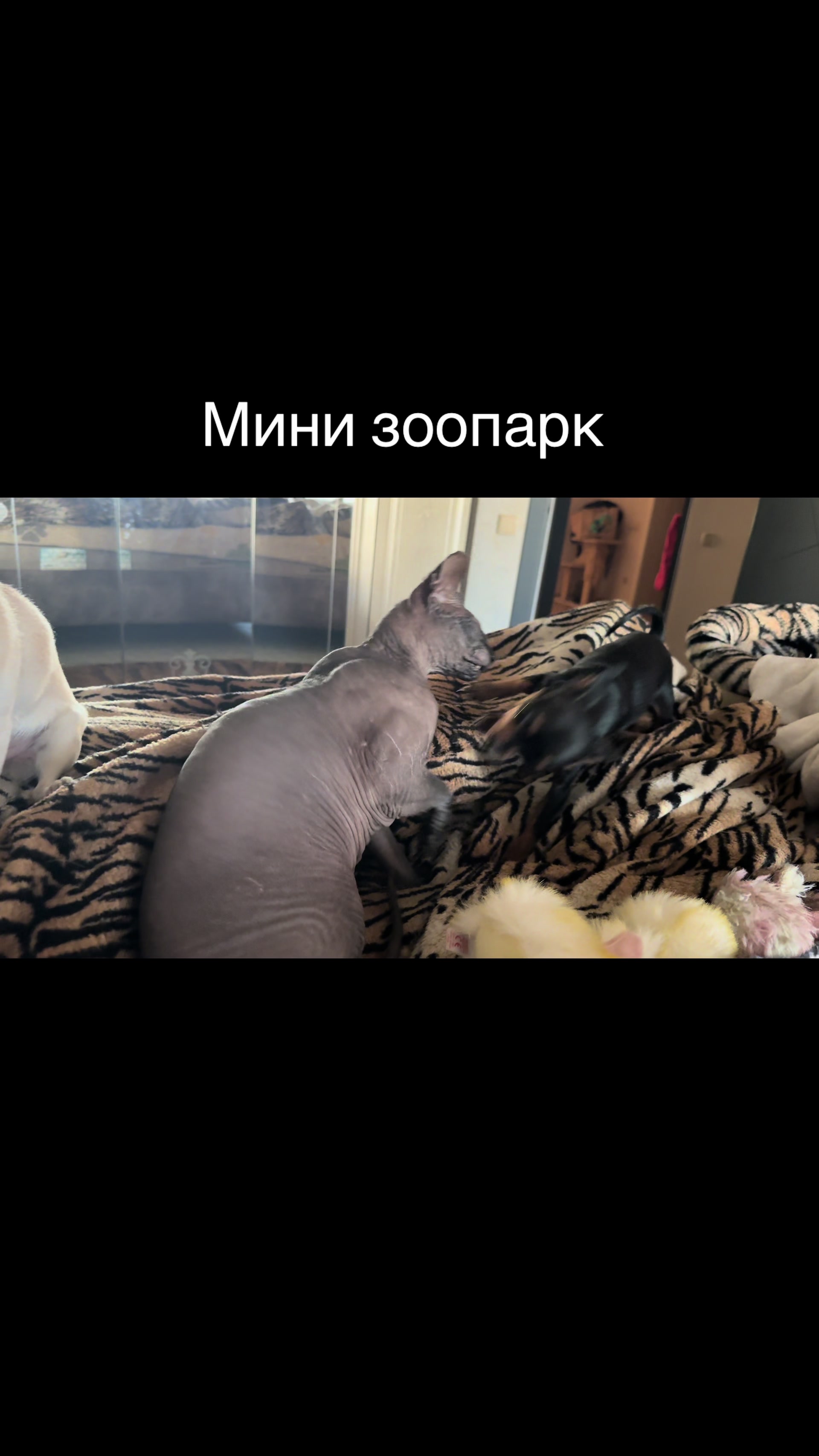 @😈Алексей😈