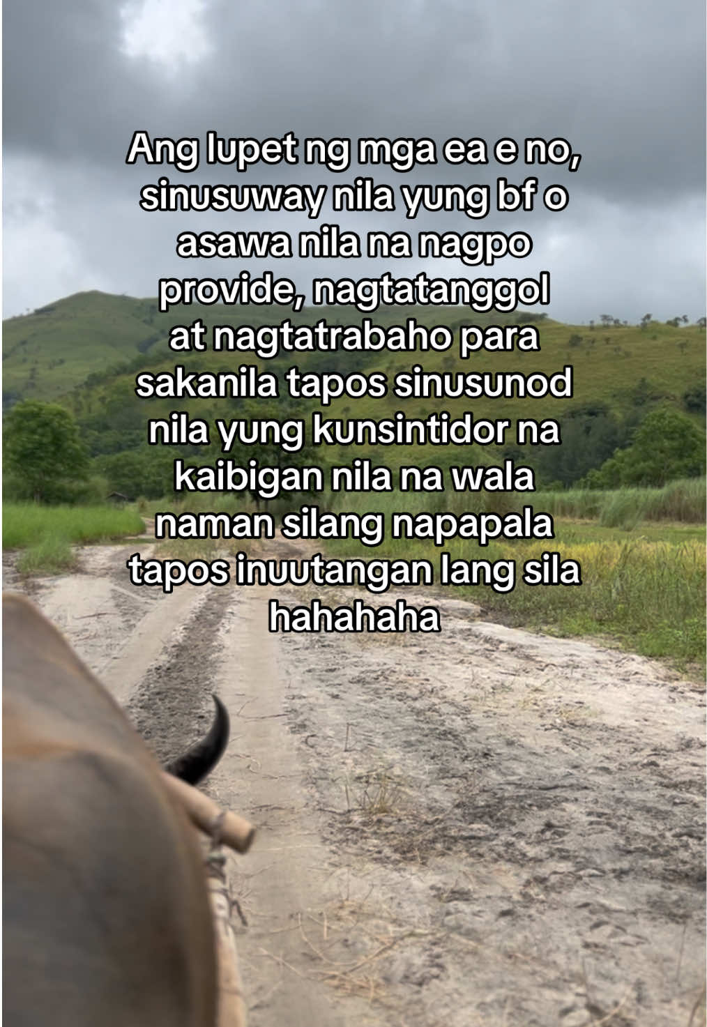 @Pau Law