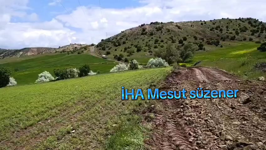 @mesut s&uuml;zener
