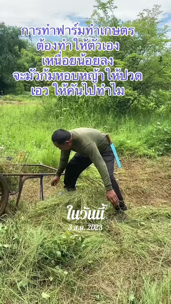@นัดดาชอป