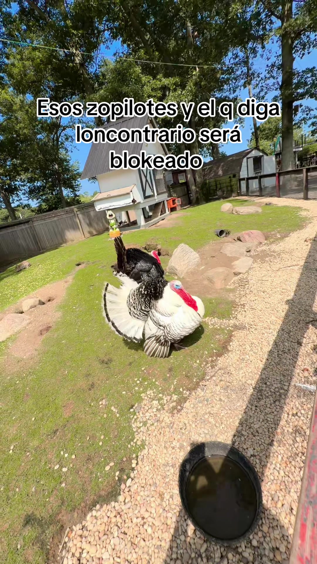 @âïžðSANDRYððŠâ€ïžðâïžðŠððŠ