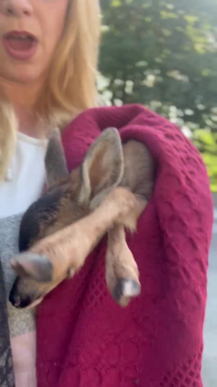 @thetarotgoddessadventure