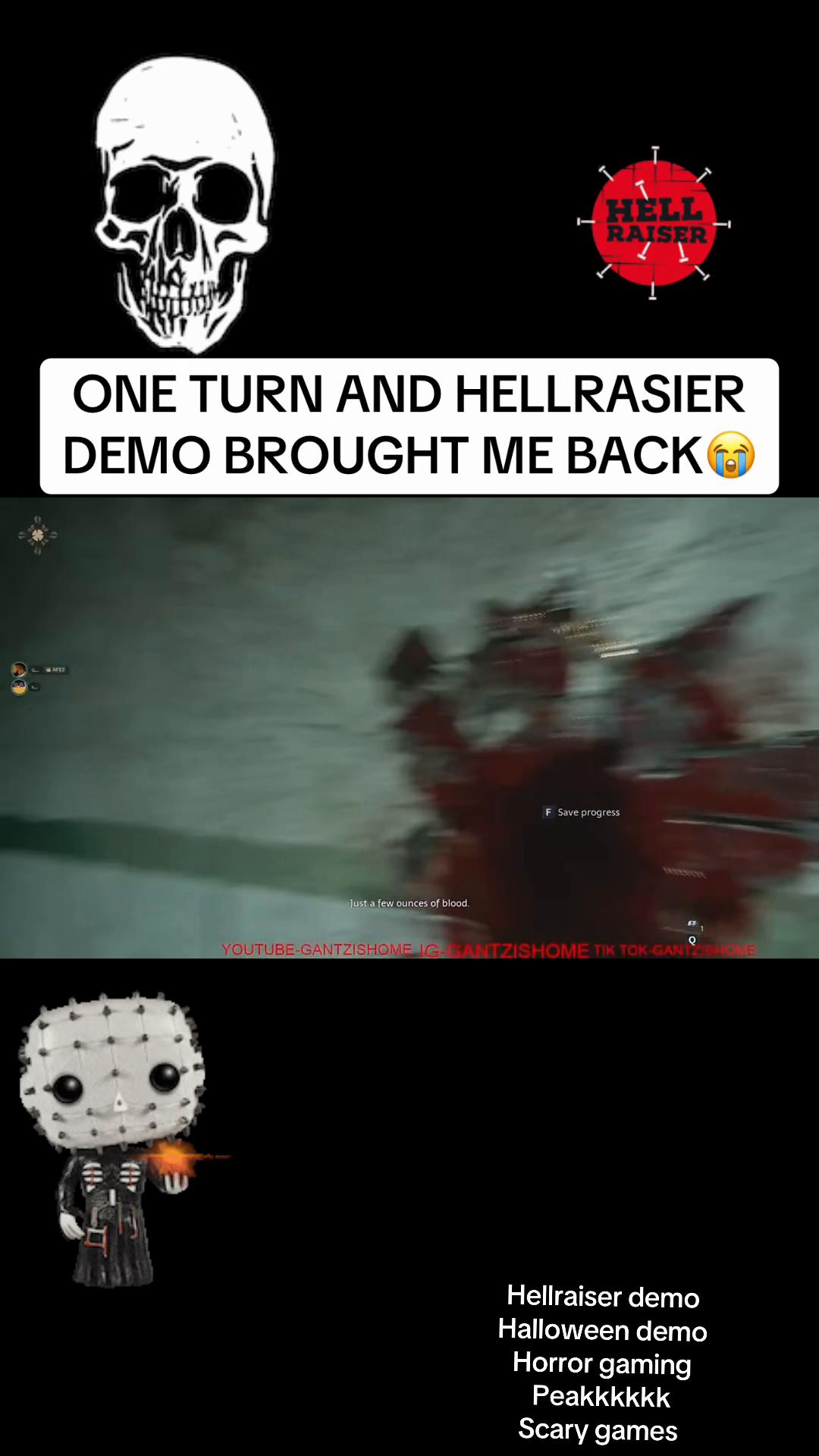 @gantzishome