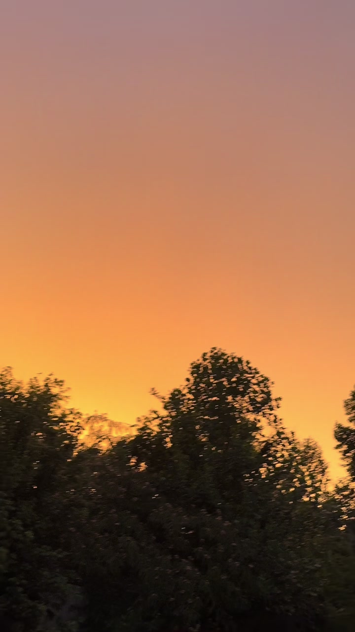 @🧑🏼🩰✨