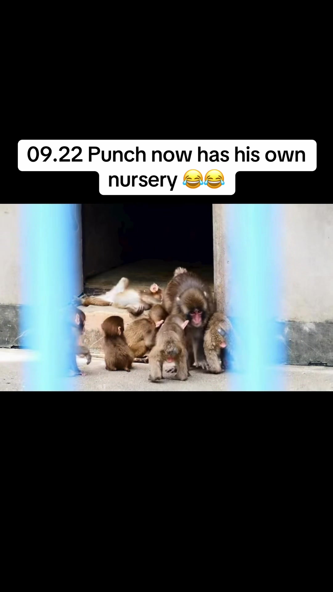 @ceeceeaey
