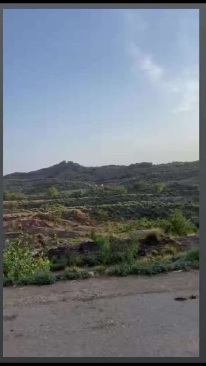 @لگه موسکے شه &hearts;️ په ما گرانی👉