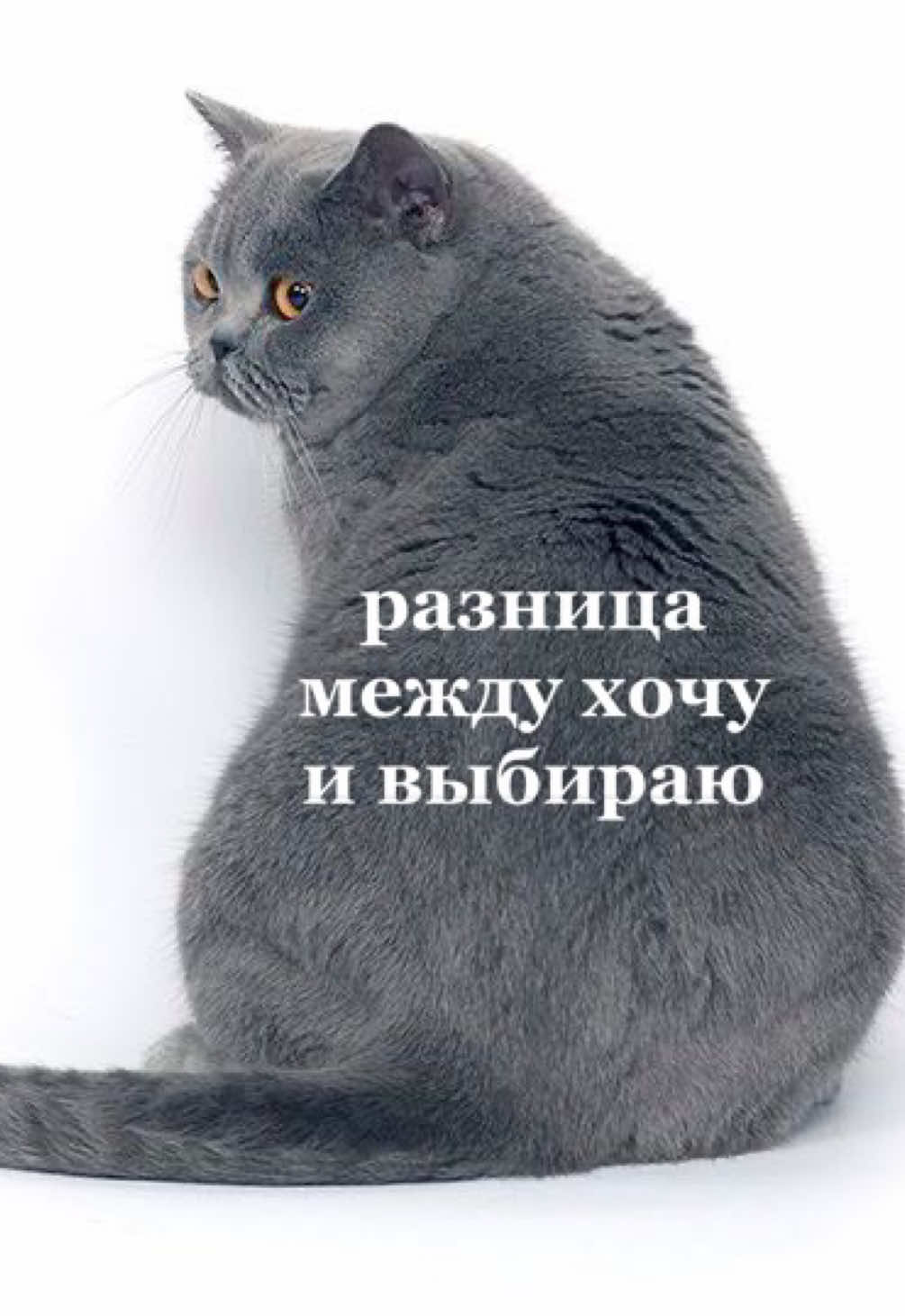 @мамин хep