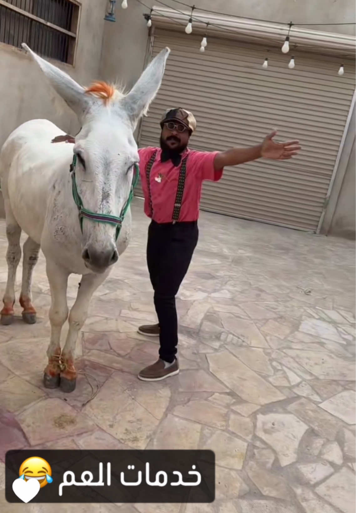 @﮼غزال 🦌 (﮼فانز ﮼ابوريان 🍁)