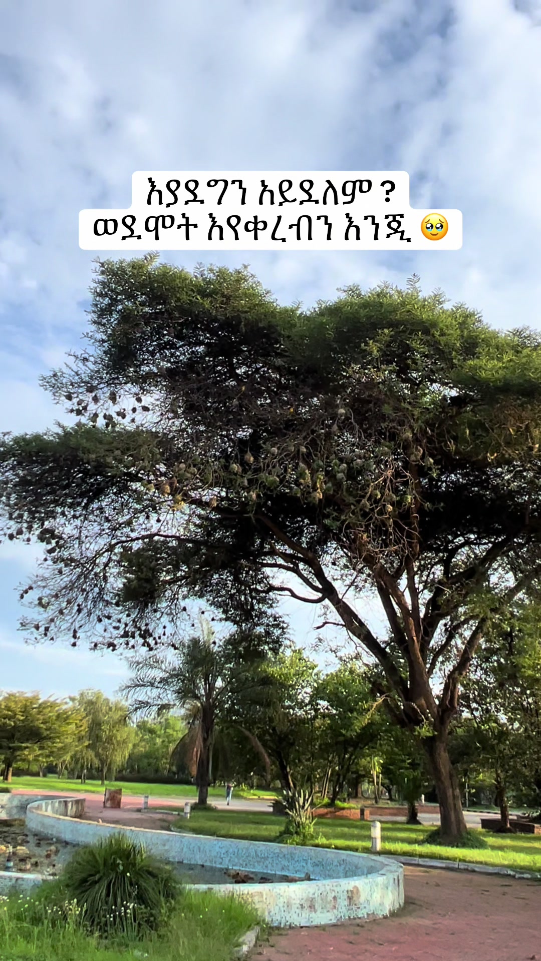 @Fafi hawassa🎈