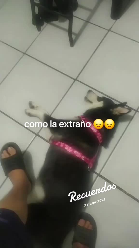 @elp0Rt4DoR12