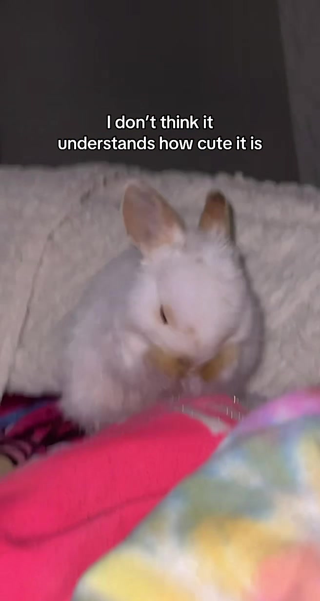 @snackqueenandsir