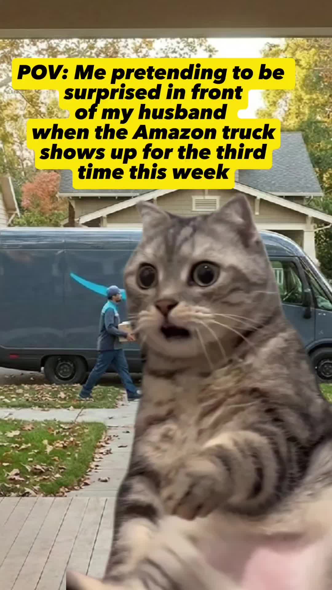 @VTHokieGal