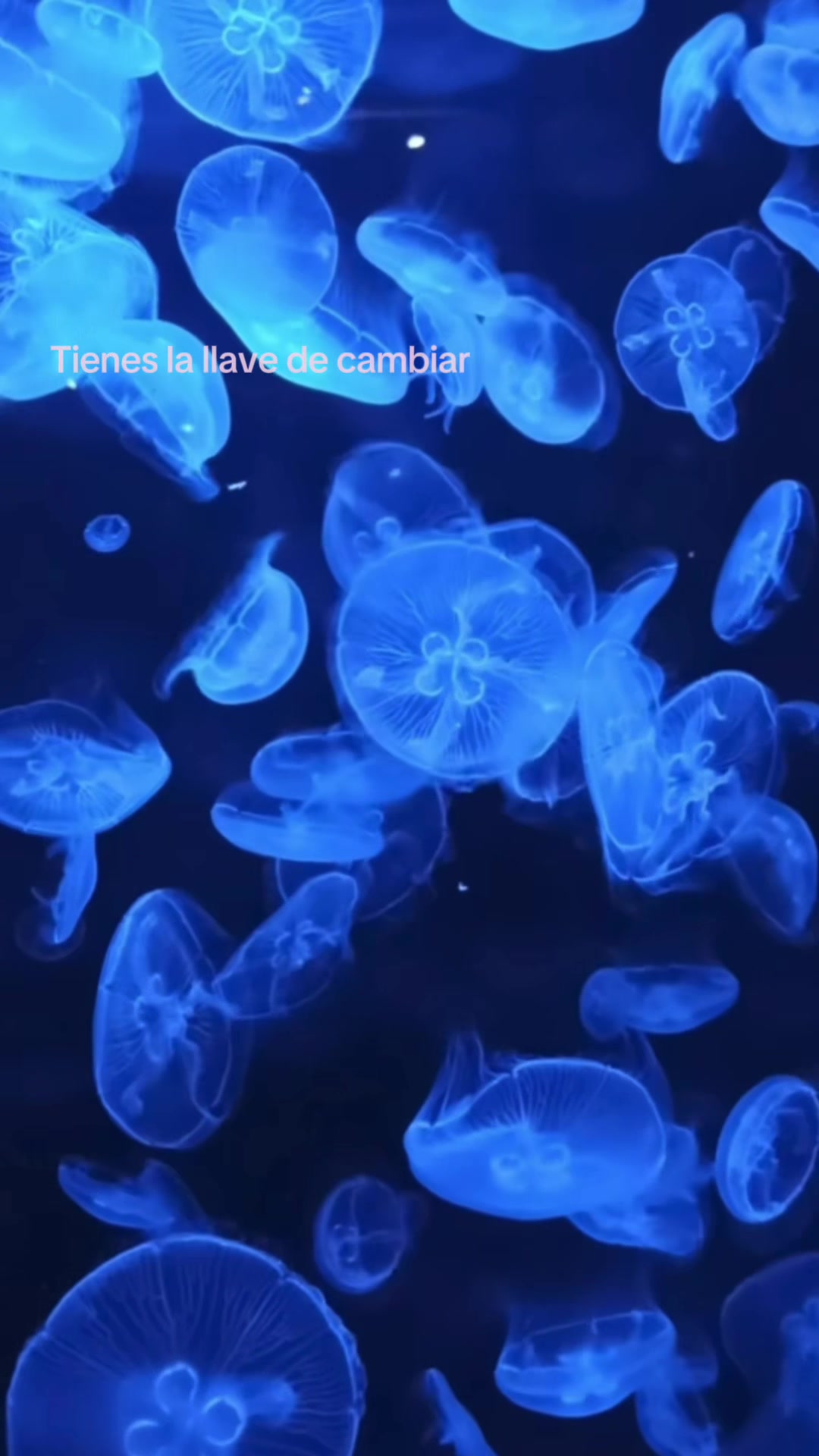 @ℳ.?