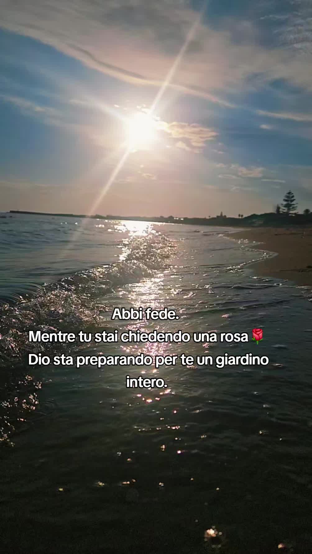 @Marya Attardi