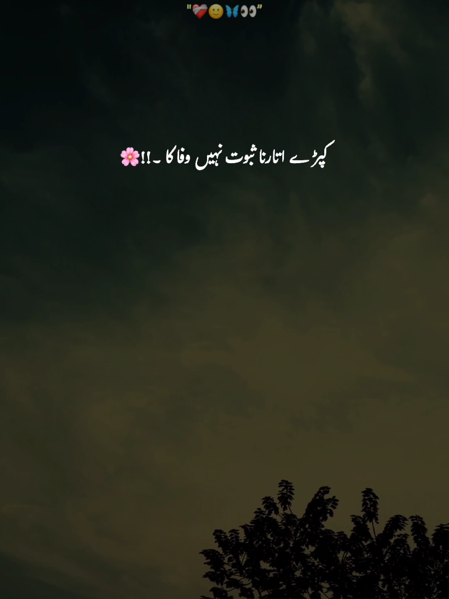 @-🕊️