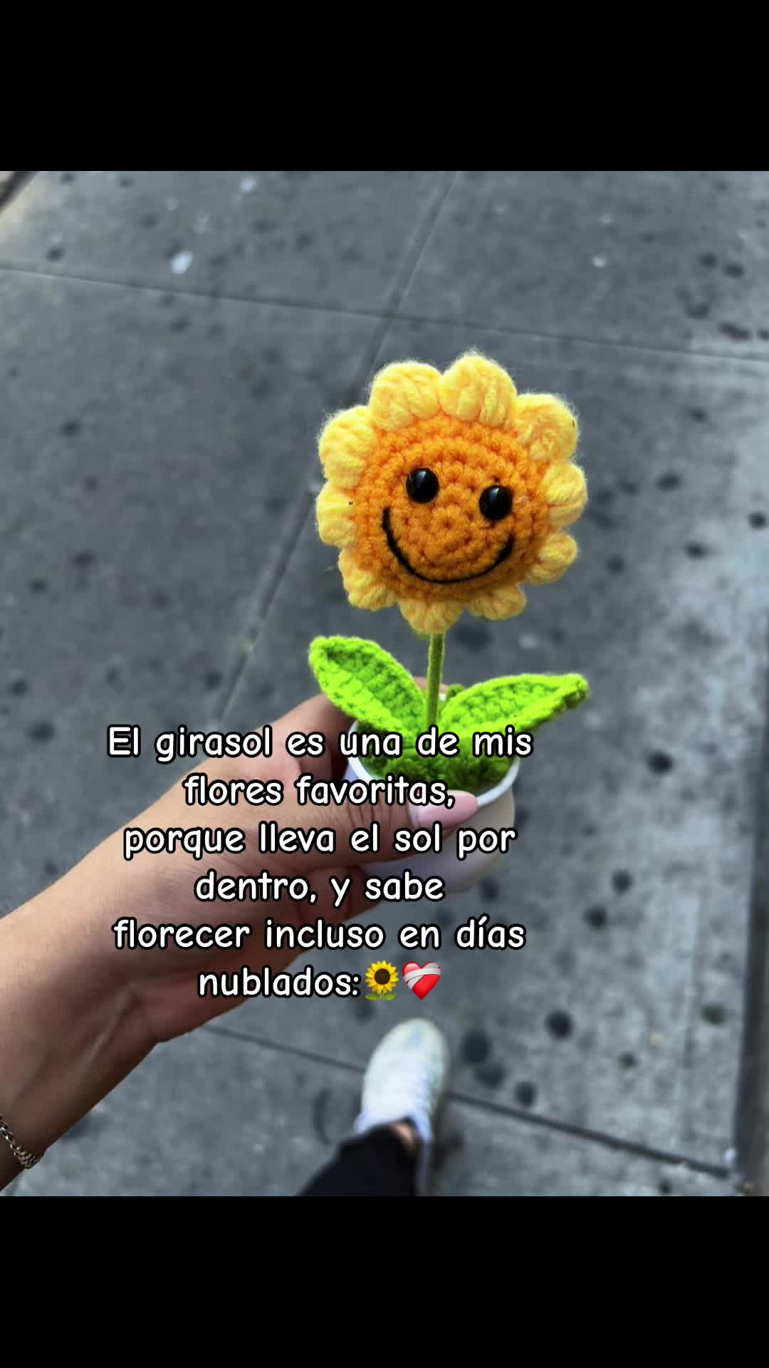 @marykury🦋