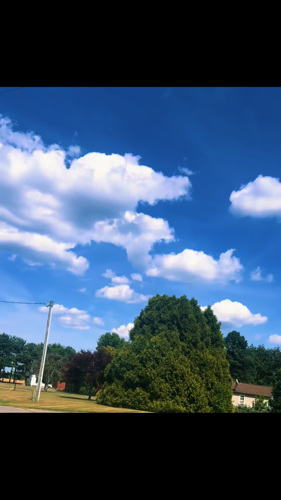 @a_bees_path2
