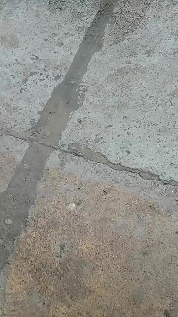 @🥷🏻!¡untal antónio¡!🥷🏻