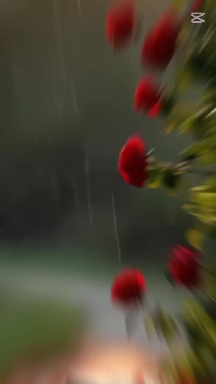 @musicmylove06