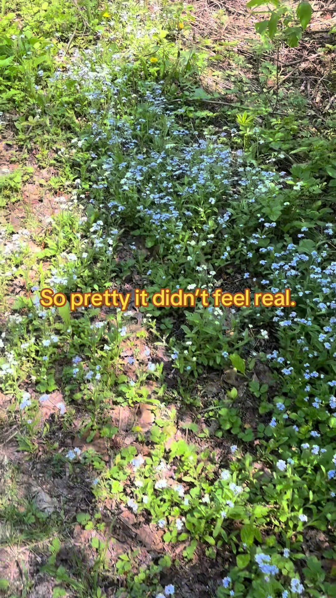@Amy; and the Chaos