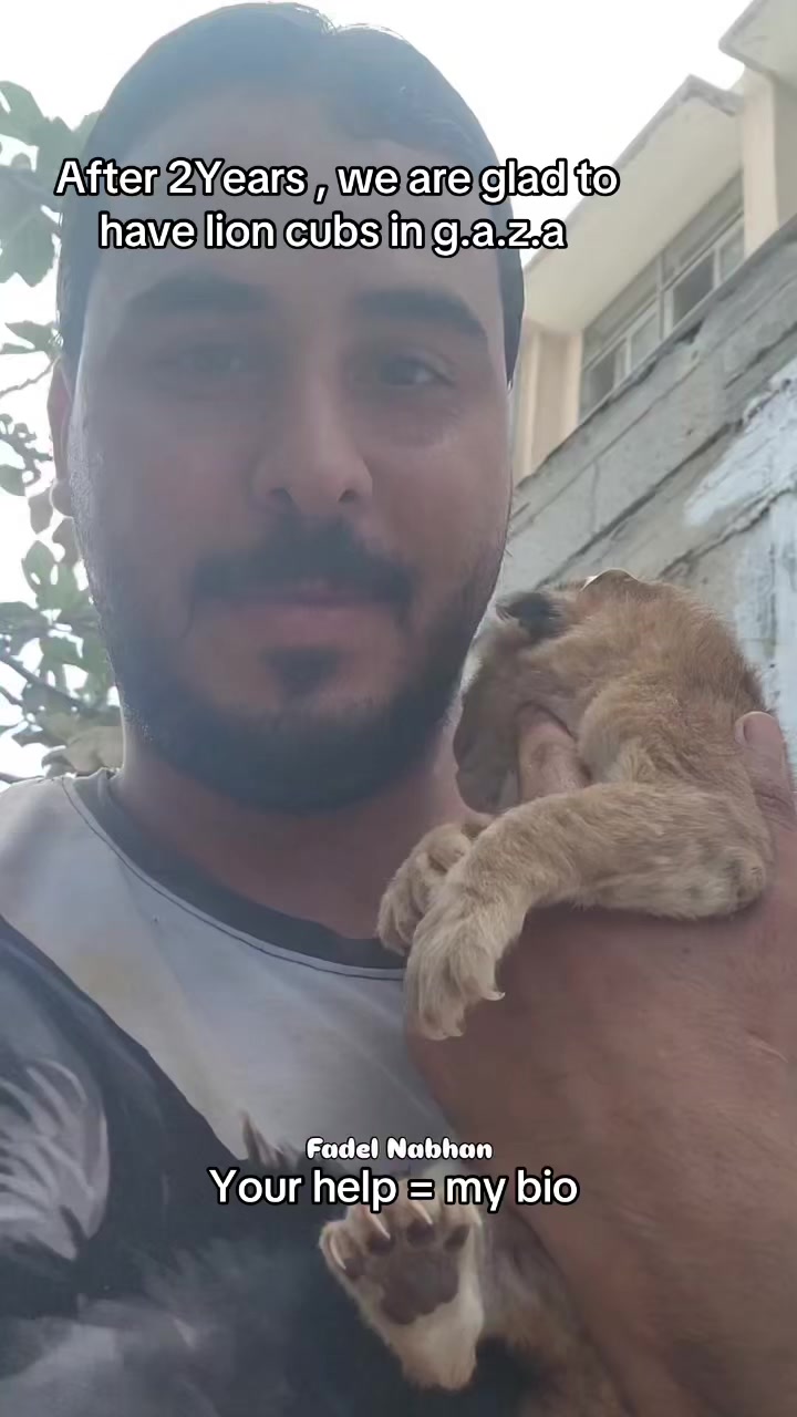 @Gaza Animal Rescue