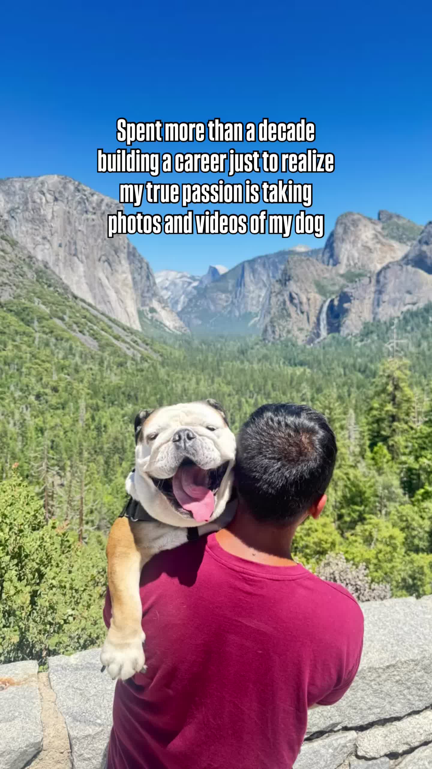 @Taco 🐶🧿