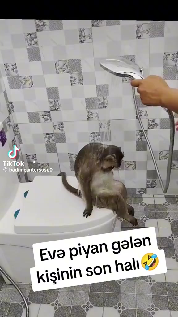 @Kam