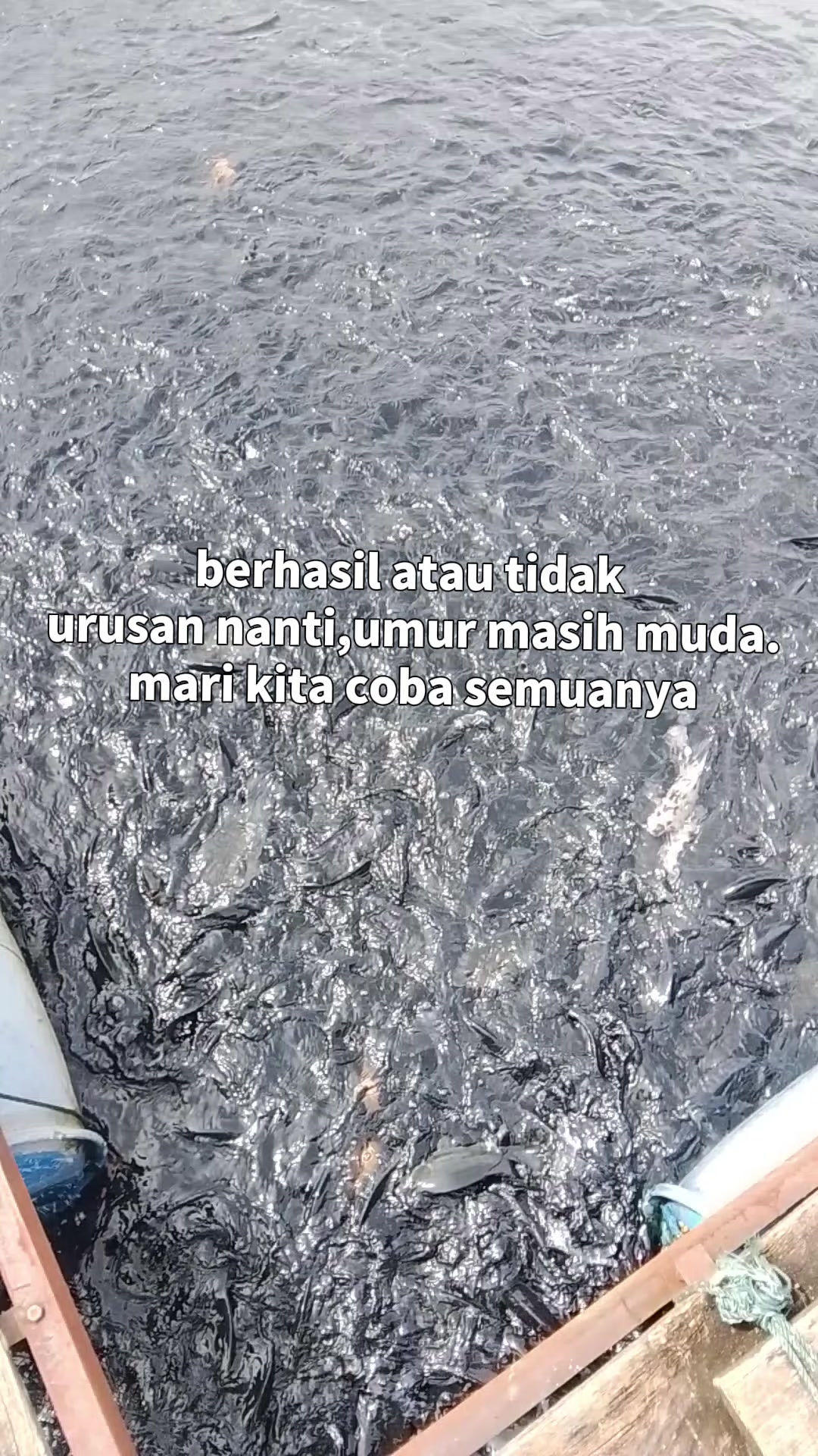 @MA_BAKTINA_02