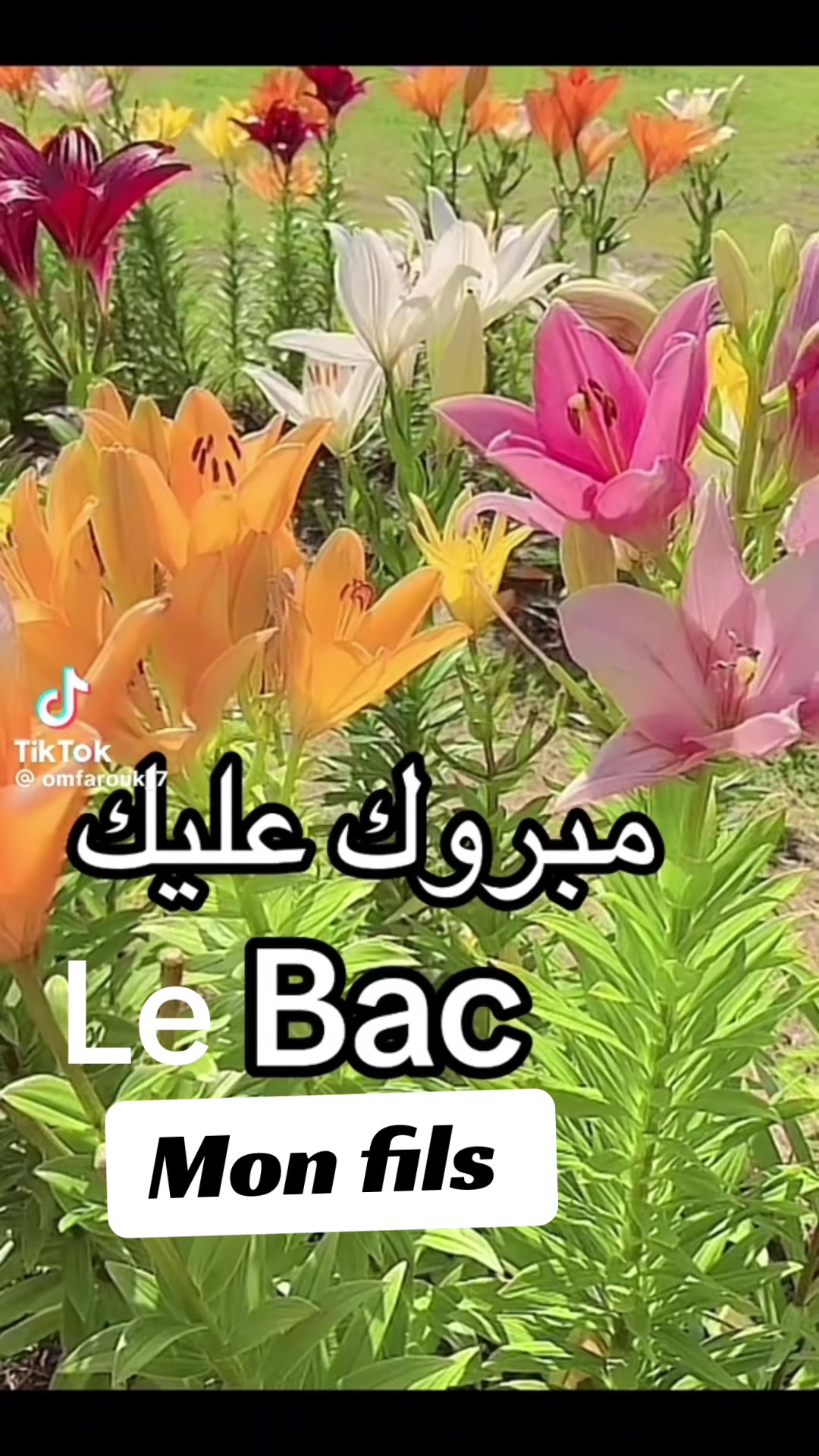 @Hoyam95🇩🇿🇫🇷