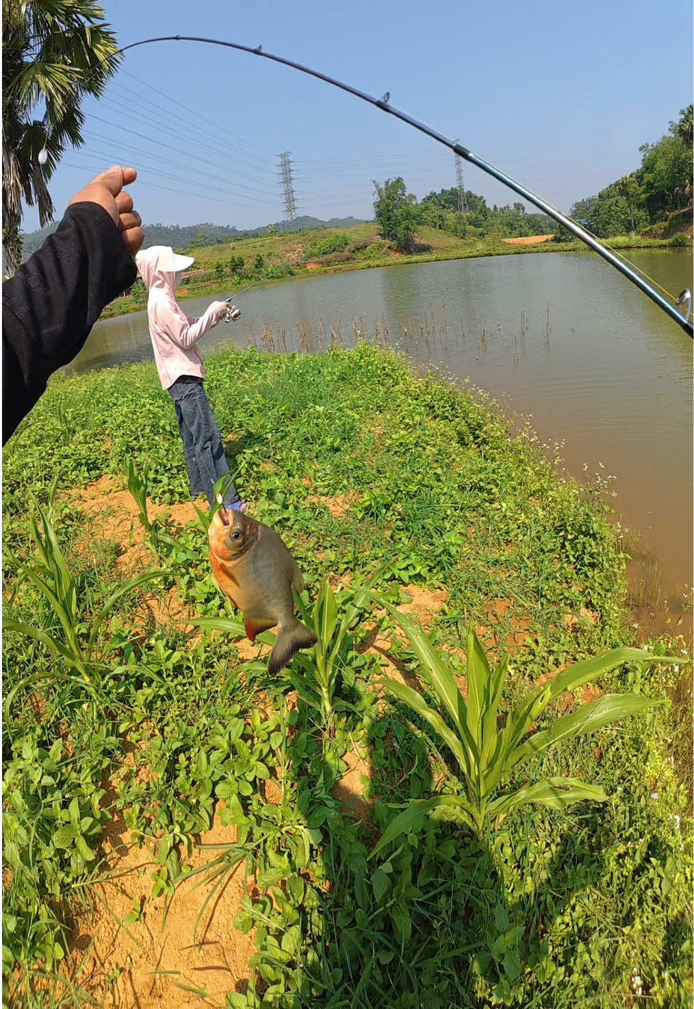 @H Fishing Shop
